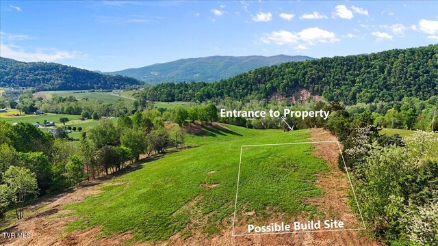 TBD Hipps Rd, Elizabethton, TN 37643 - photo 14