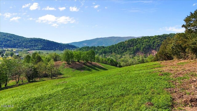 TBD Hipps Rd, Elizabethton, TN 37643 - photo 17
