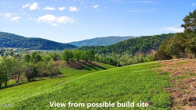 TBD Hipps Rd, Elizabethton, TN 37643 - photo 1