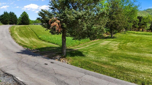 TBD Hipps Rd, Elizabethton, TN 37643 - photo 55