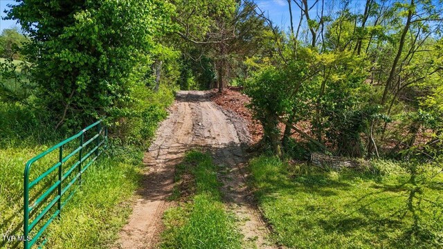 TBD Hipps Rd, Elizabethton, TN 37643 - photo 3