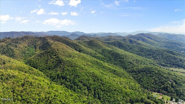 TBD Hipps Rd, Elizabethton, TN 37643 - photo 57