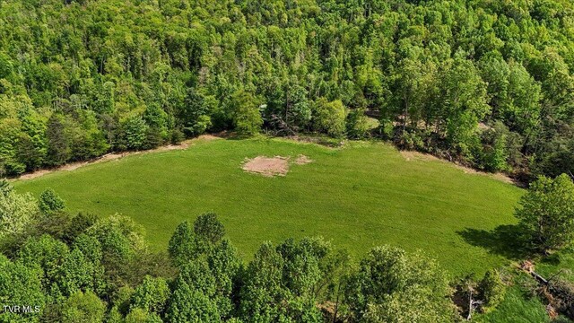TBD Hipps Rd, Elizabethton, TN 37643 - photo 11
