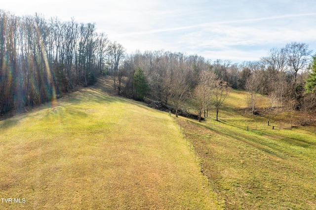 view of yard featuring a rural view