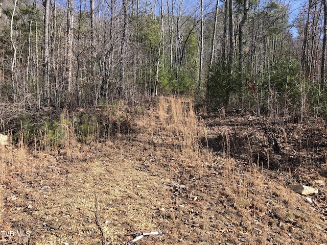 000 Rhea Ln, Mountain City TN, 37683 land for sale