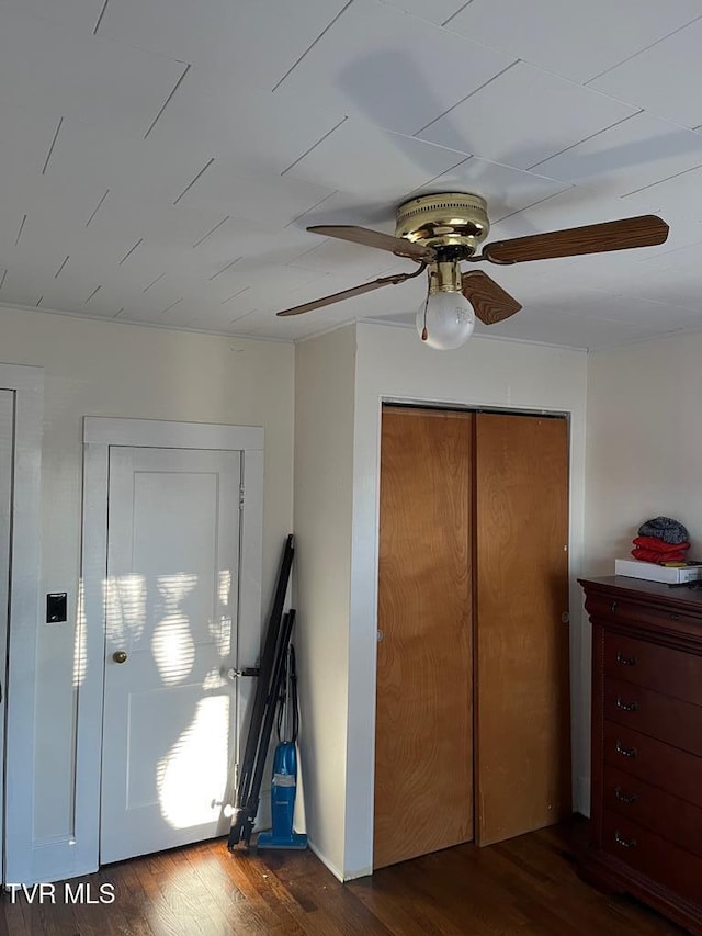 foyer with dark hardwood / wood-style floors