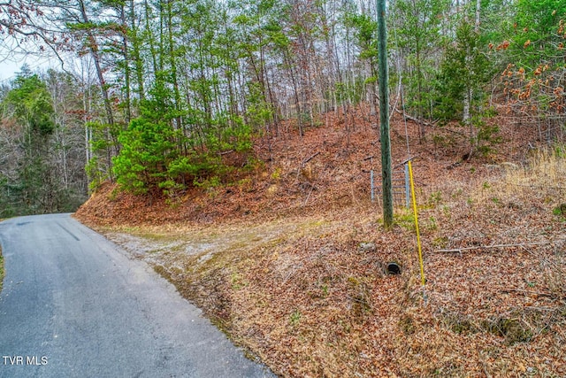 Tbd Stinnett Ridge Road, Cosby TN, 37722 land for sale