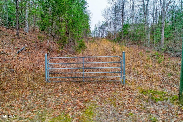 Listing photo 2 for Tbd Stinnett Ridge Road, Cosby TN 37722