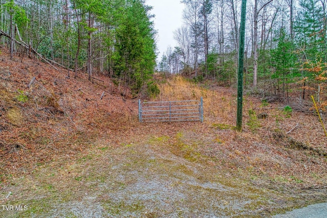 Listing photo 3 for Tbd Stinnett Ridge Road, Cosby TN 37722