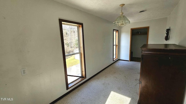 interior space with a wealth of natural light, light carpet, and a textured ceiling