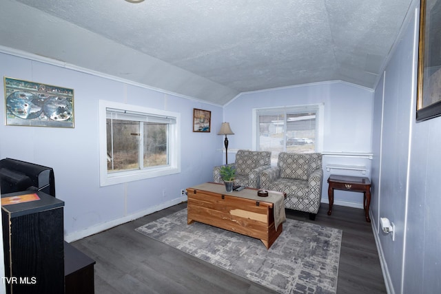 living area with lofted ceiling, dark wood-type flooring, and a textured ceiling