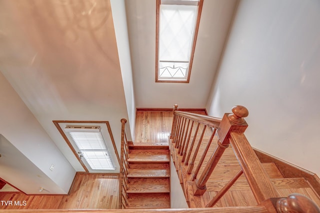 205 Donegal Way Unit 205, Bristol, TN 37620 - stairs featuring wood finished floors