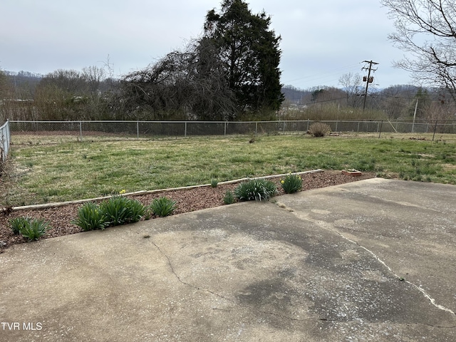 view of yard featuring a patio area and a fenced backyard