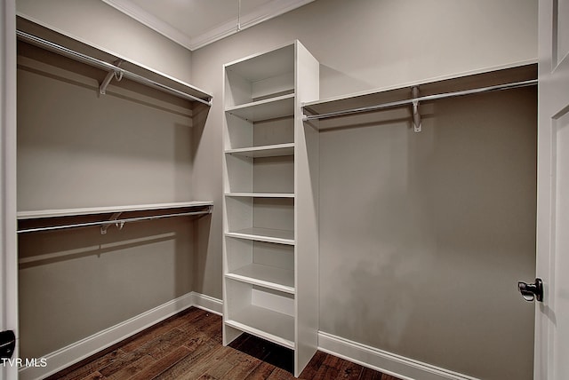 walk in closet with dark hardwood / wood-style floors