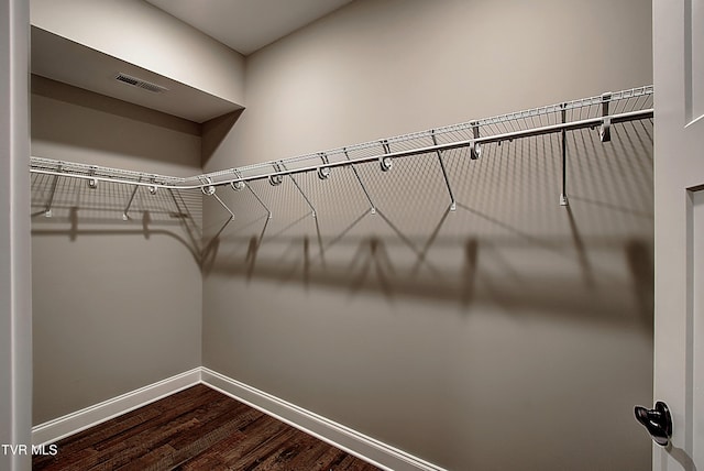 spacious closet featuring dark hardwood / wood-style floors