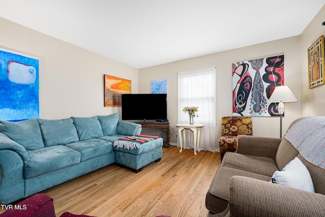 living room featuring light wood-type flooring