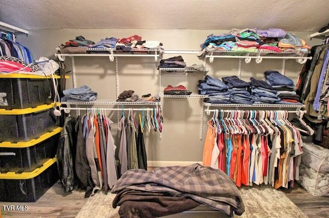 walk in closet featuring hardwood / wood-style flooring