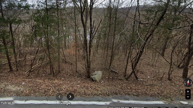 Listing photo 2 for TBD Bloomingdale Rd, Kingsport TN 37617