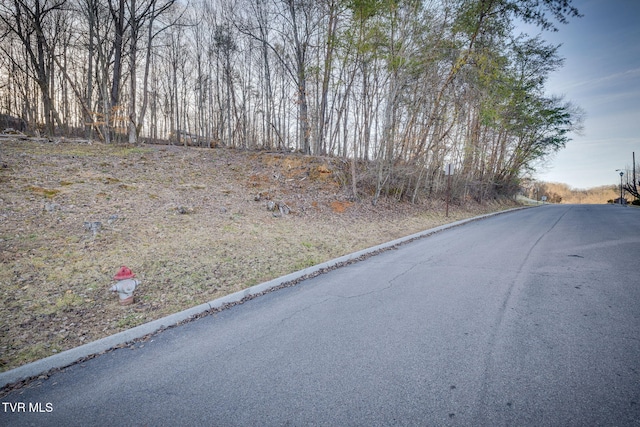 Listing photo 3 for TBD Alexander Ave, Church Hill TN 37642