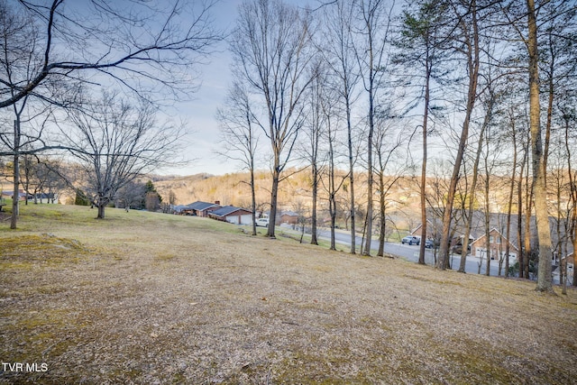 TBD Alexander Ave, Church Hill TN, 37642 land for sale