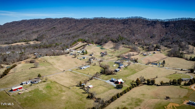 bird's eye view with a mountain view, a view of trees, and a rural view