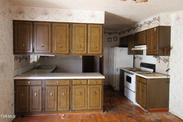 kitchen with sink, white appliances, and dark wood-type flooring