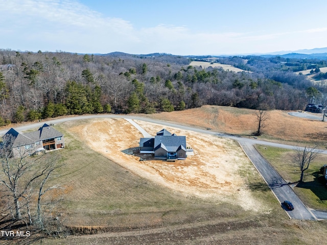 294 River Pointe Dr, Greeneville, TN 37743 - aerial view featuring a view of trees