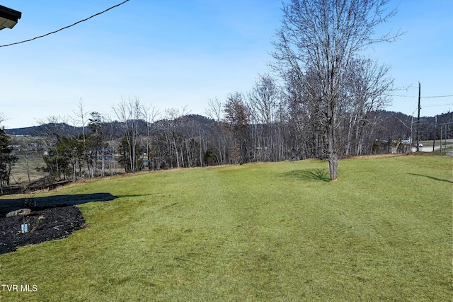 view of yard featuring a mountain view and a forest view