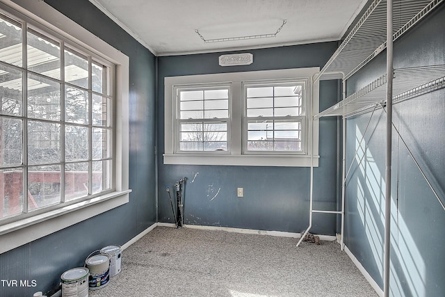 clothes washing area featuring carpet and crown molding