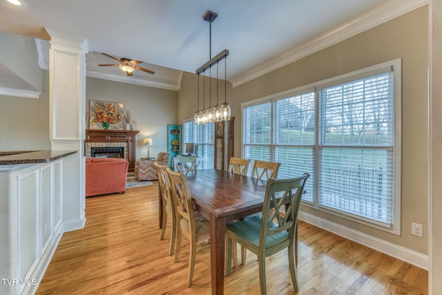 dining space with ceiling fan, light wood-style flooring, a fireplace, baseboards, and crown molding