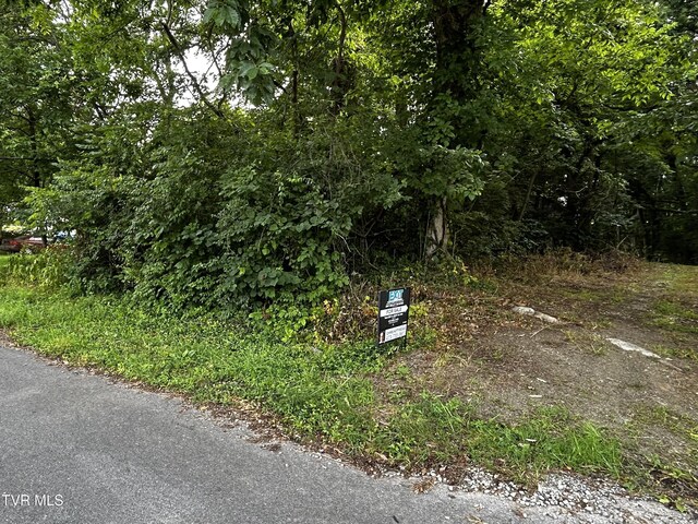 198 Maple Tree Ln, Watauga, TN 37694 - photo 2