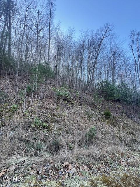 Listing photo 3 for TBD2 Luttrell St, Erwin TN 37650