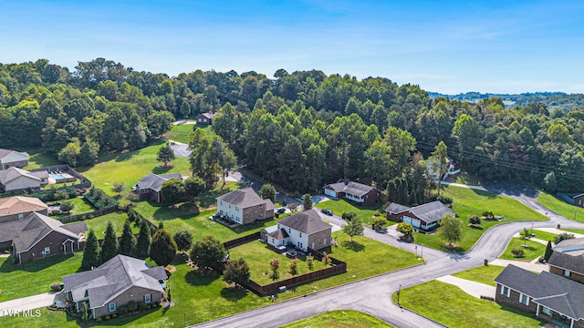aerial view
