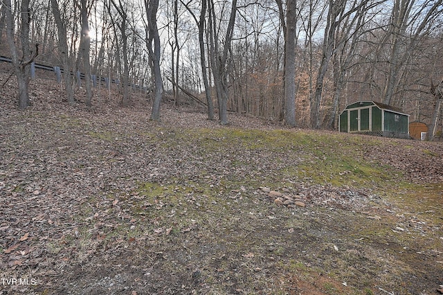 view of yard featuring a storage shed and an outdoor structure