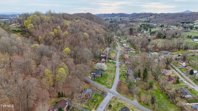 bird's eye view featuring a forest view and a mountain view