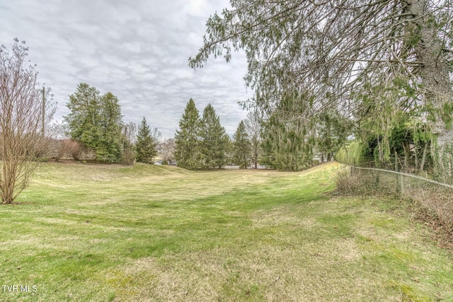 305 Overbrook Dr, Bristol, TN 37620 - view of yard