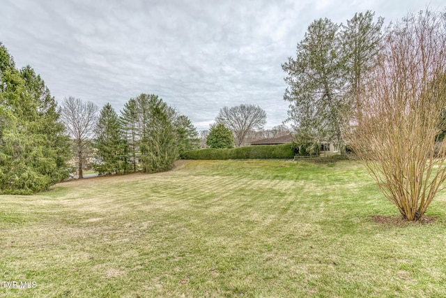 305 Overbrook Dr, Bristol, TN 37620 - view of yard