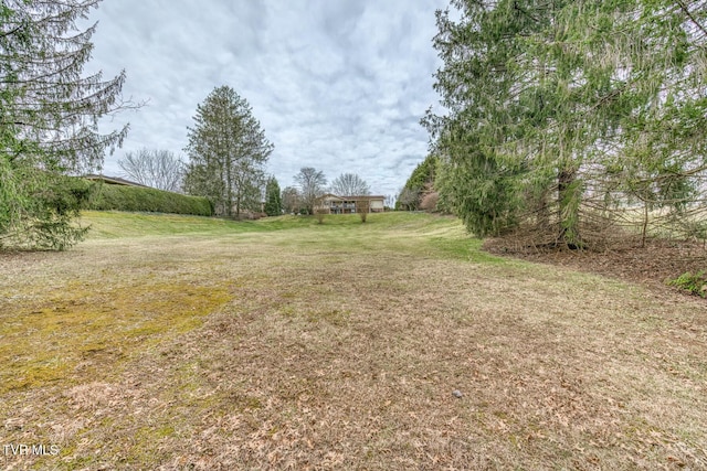 305 Overbrook Dr, Bristol, TN 37620 - view of yard