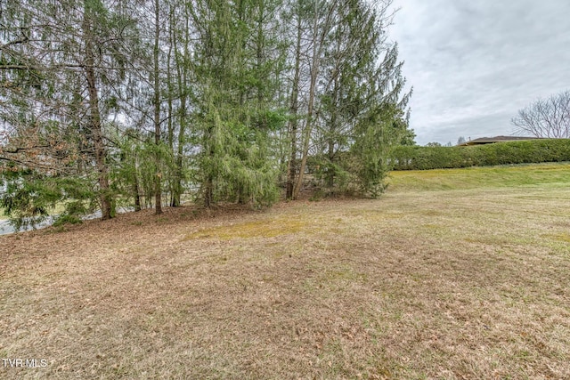 305 Overbrook Dr, Bristol, TN 37620 - view of yard