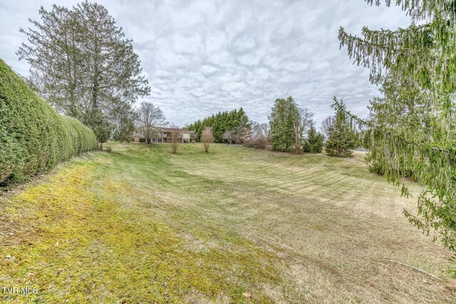 305 Overbrook Dr, Bristol, TN 37620 - view of yard