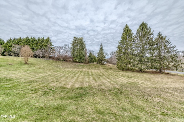 305 Overbrook Dr, Bristol, TN 37620 - view of yard