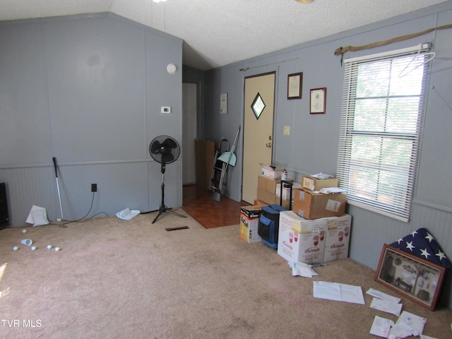 interior space with lofted ceiling, carpet flooring, plenty of natural light, and a textured ceiling