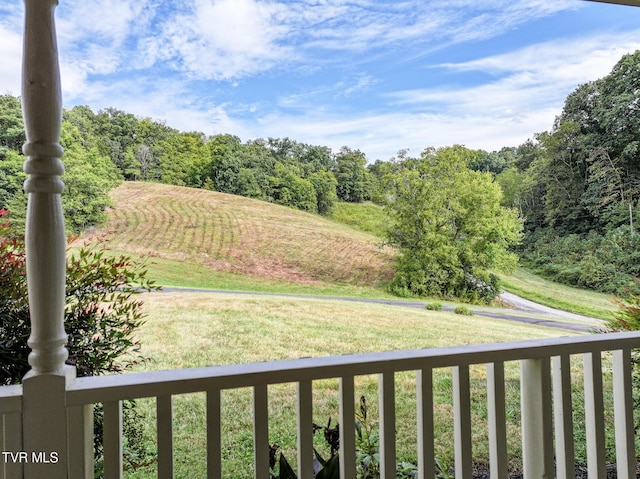 view of yard with a rural view