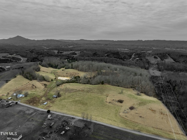 birds eye view of property featuring a mountain view