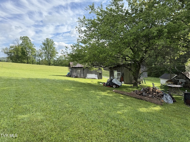 view of yard with an outdoor structure and a shed