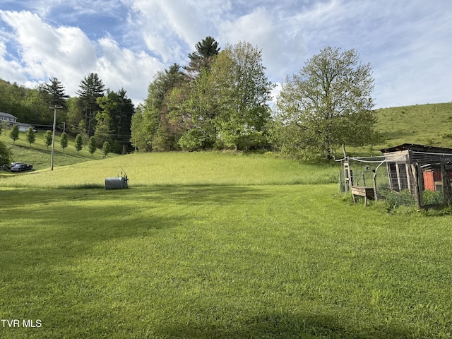 view of yard