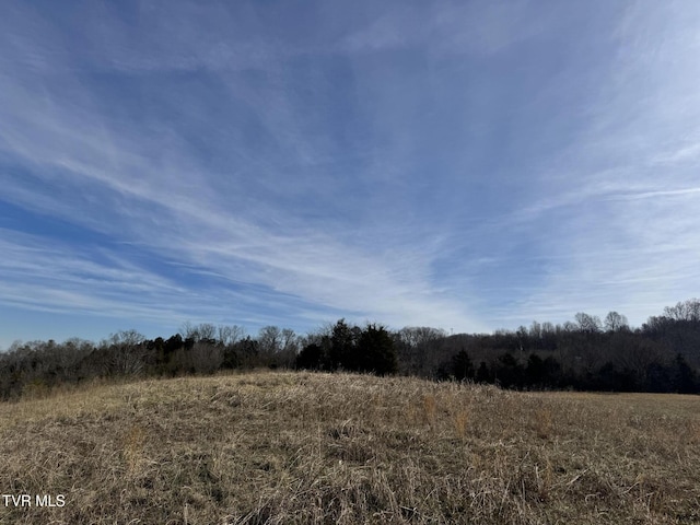 0 Wilkerson Rd, Mosheim, TN 37818