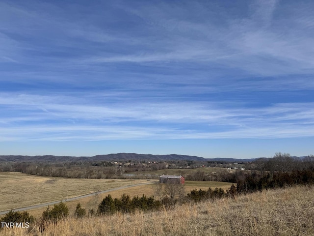 0 Wilkerson Rd, Mosheim, TN 37818