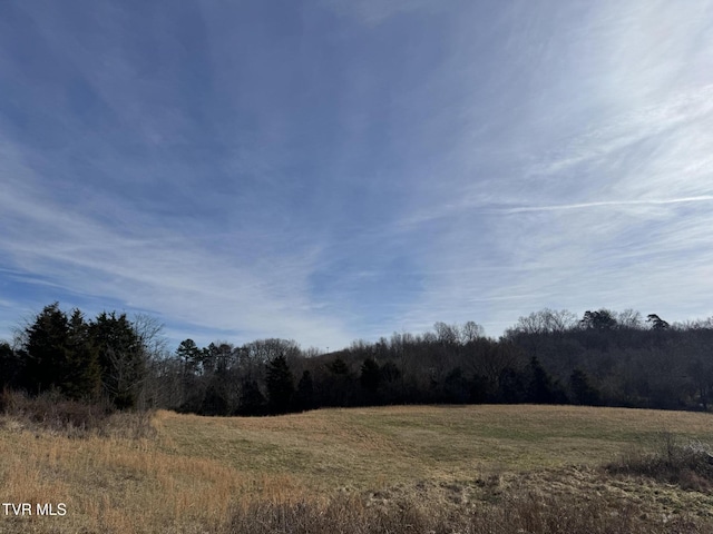 0 Wilkerson Rd, Mosheim, TN 37818