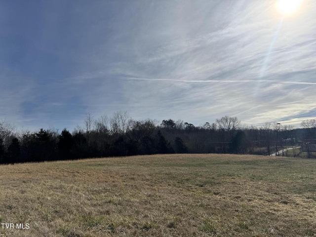 0 Wilkerson Rd, Mosheim, TN 37818